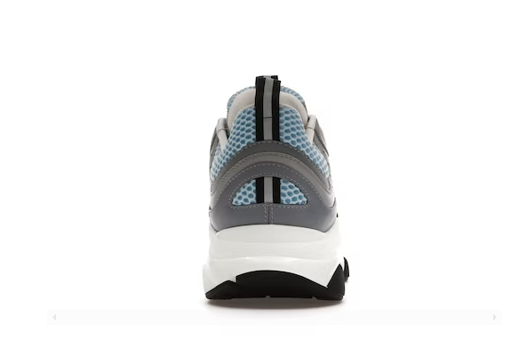 DIOR B22 WHITE BLUE