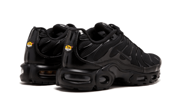 NIKE AIR MAX TN FRANCE