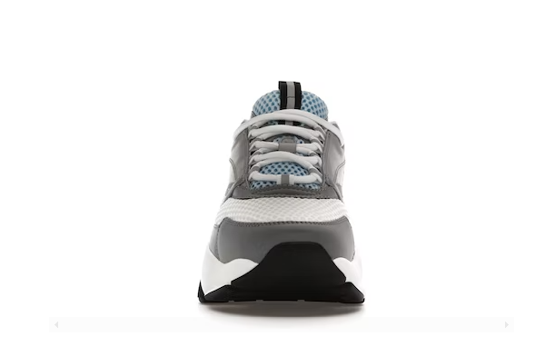 DIOR B22 WHITE BLUE